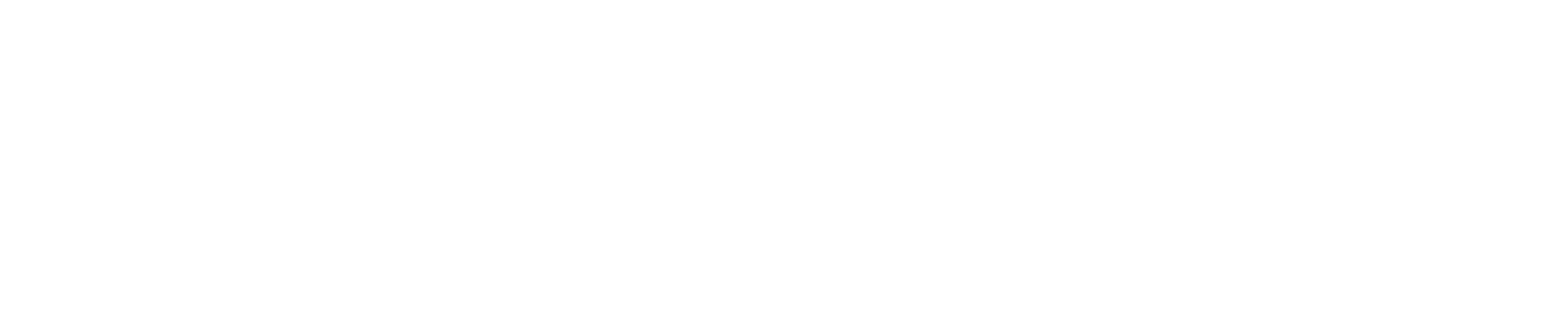 Ricciarelli. - Consulting en marketing & Communiction